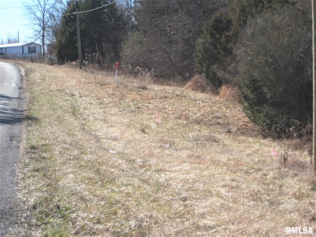 LOT235 Eagle Point Bay Rd, Goreville IL, 62939 land for sale