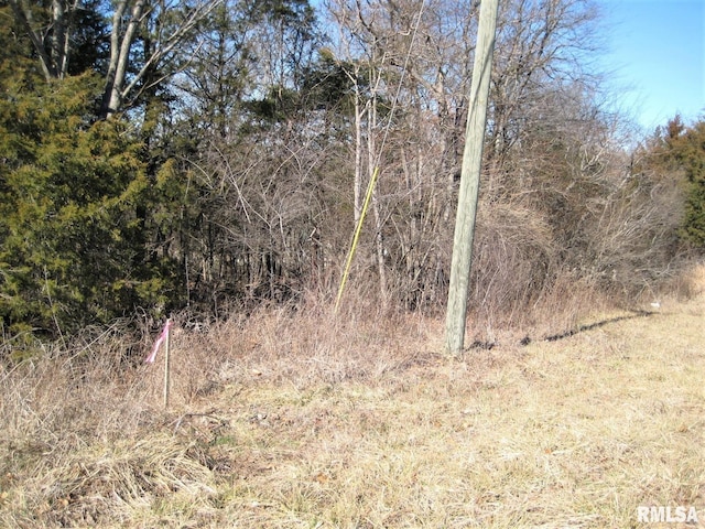 Listing photo 3 for LOT235 Eagle Point Bay Rd, Goreville IL 62939