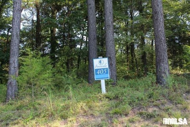 LOT405 Parrish Ridge Rd, Goreville IL, 62939 land for sale