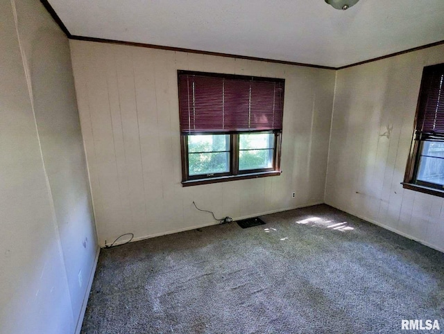 608 N Oakland Ave, Carbondale, IL 62901 - photo 11