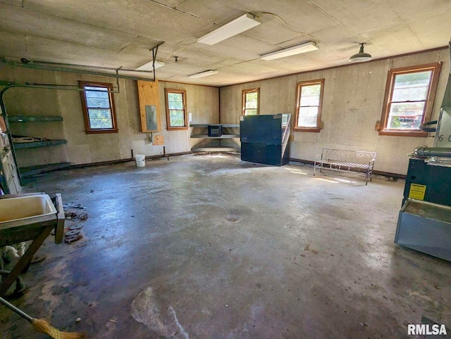 basement featuring a healthy amount of sunlight and electric panel