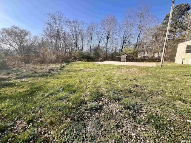 608 N Oakland Ave, Carbondale, IL 62901 - photo 28