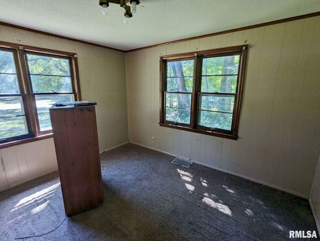 608 N Oakland Ave, Carbondale, IL 62901 - photo 10