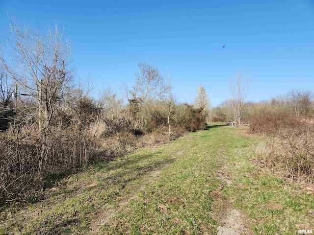 1300 Tolle Ln, Mount Vernon IL, 62864 land for sale