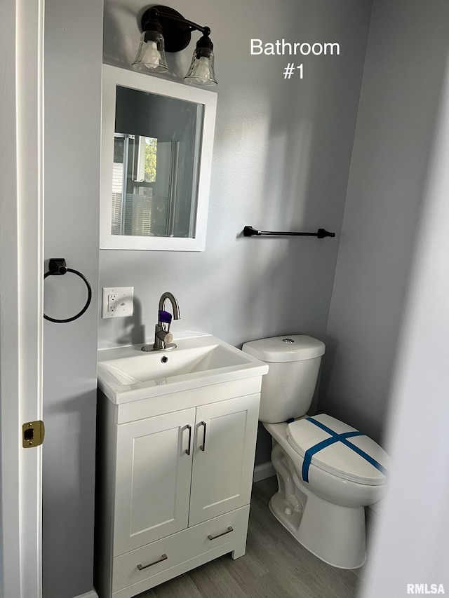 bathroom featuring toilet, vanity, and wood-type flooring