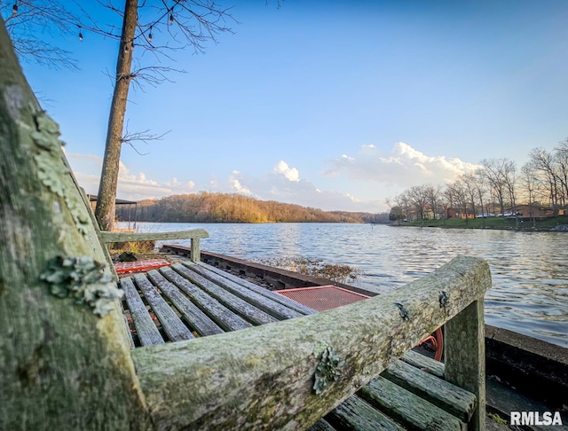 view of dock with a water view