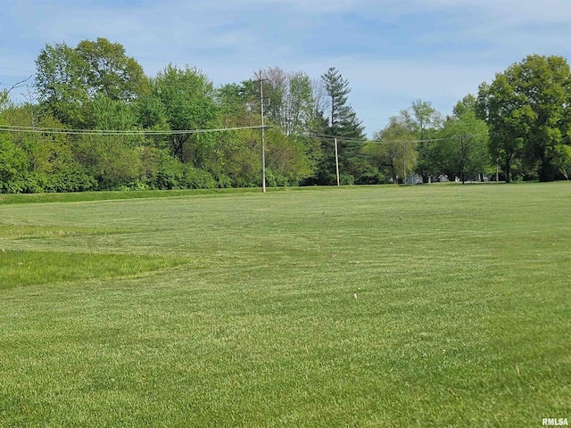 500 W 12th St, Flora, IL 62839 - photo 76