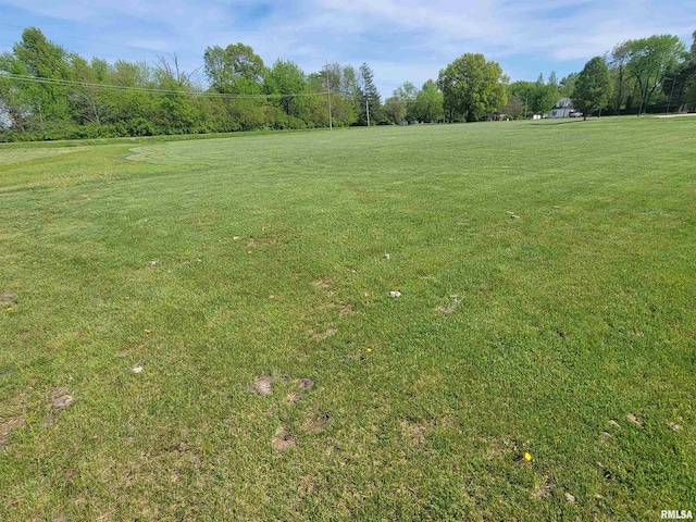 500 W 12th St, Flora, IL 62839 - photo 78