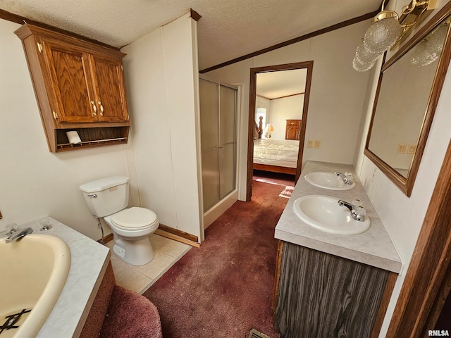 bathroom featuring a textured ceiling, double sink, lofted ceiling, toilet, and a shower with door