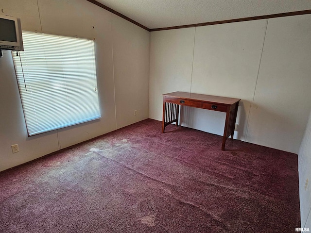 carpeted empty room featuring a textured ceiling