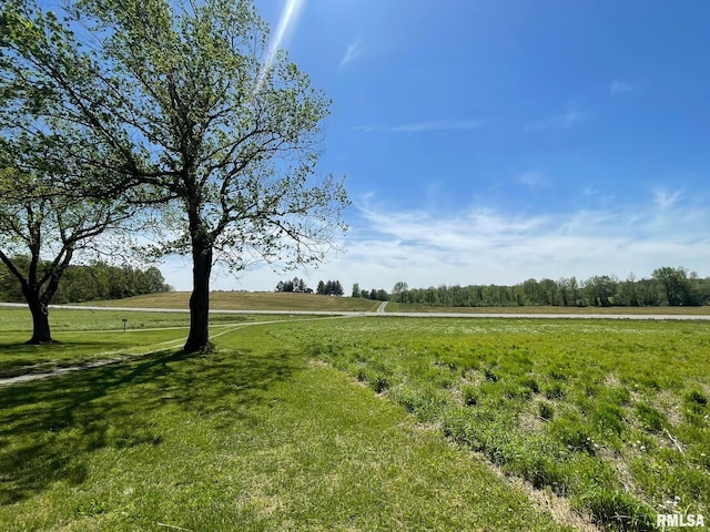 view of yard featuring a rural view