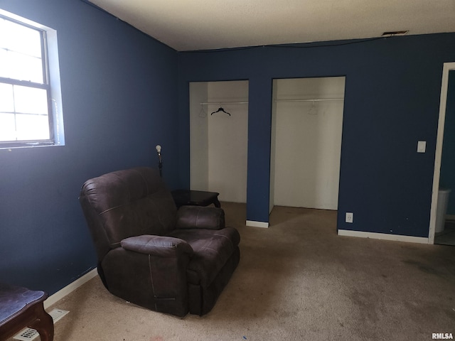 sitting room featuring carpet