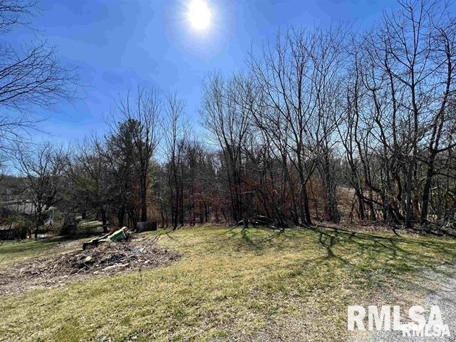 001 Main St, Dongola IL, 62926 land for sale