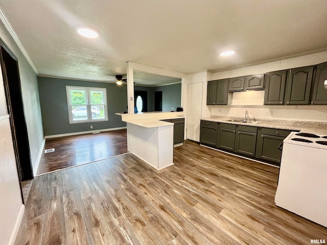 kitchen featuring ornamental molding, kitchen peninsula, hardwood / wood-style floors, electric stove, and ceiling fan