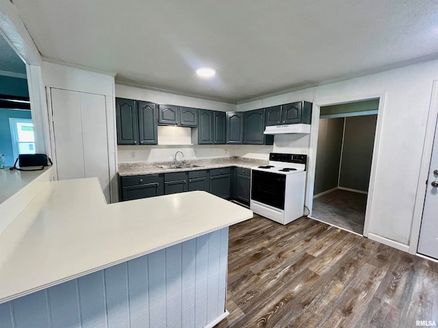 kitchen with white electric range, dark hardwood / wood-style flooring, kitchen peninsula, and sink