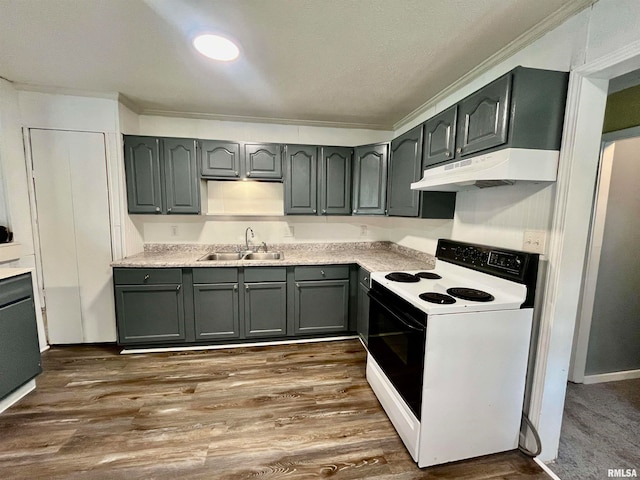 kitchen featuring white range with electric cooktop, sink, hardwood / wood-style floors, and custom exhaust hood