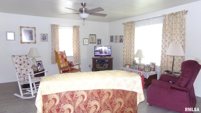 bedroom with multiple windows, hardwood / wood-style flooring, and ceiling fan