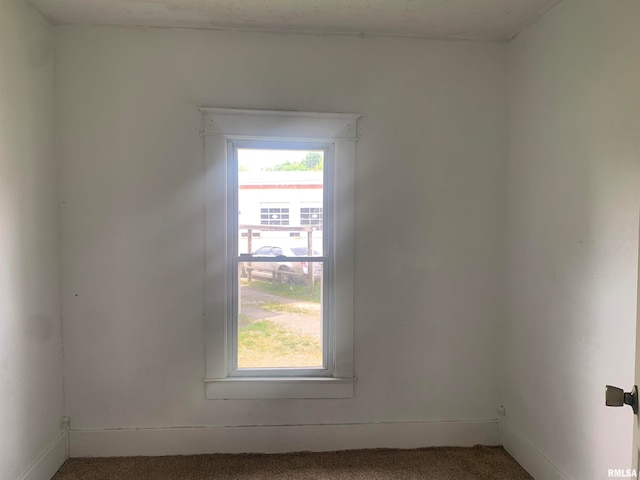 unfurnished room featuring carpet floors and a wealth of natural light