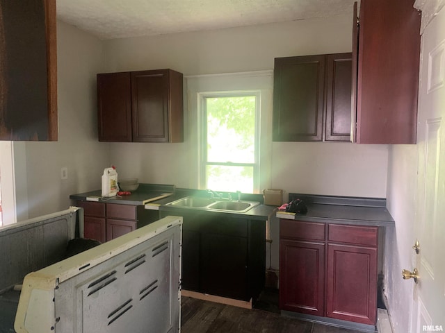 kitchen with sink and dark hardwood / wood-style floors