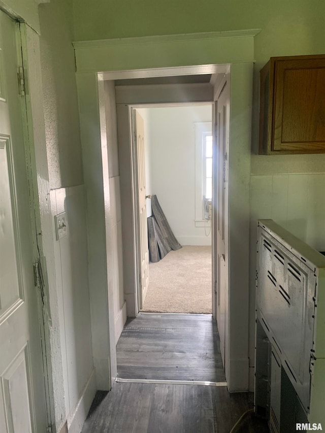 corridor with hardwood / wood-style flooring