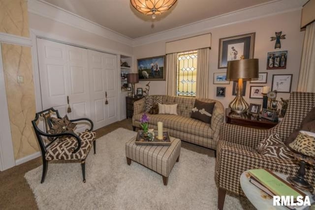 521 S Park Ave, Herrin, IL 62948 - carpeted living area featuring ornamental molding