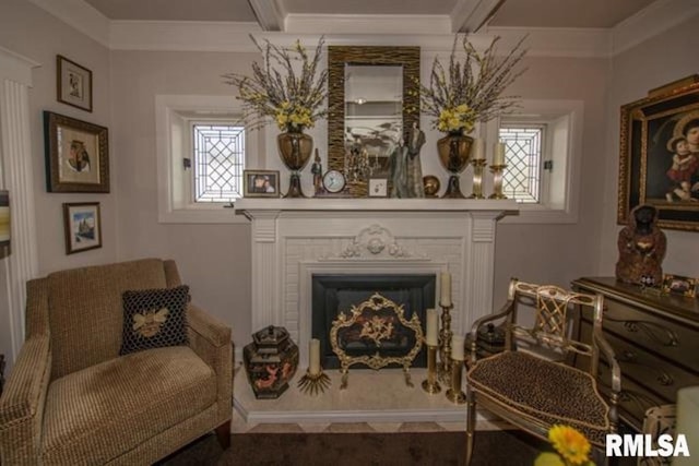 521 S Park Ave, Herrin, IL 62948 - sitting room featuring a fireplace and ornamental molding