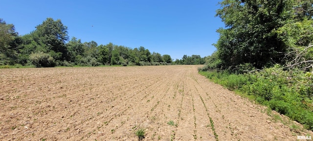 000 N Markham Ln, Bluford IL, 62814 land for sale