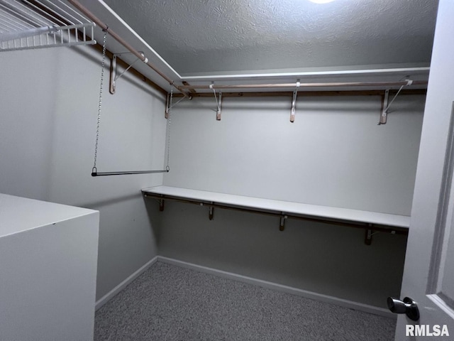 walk in closet with carpet flooring