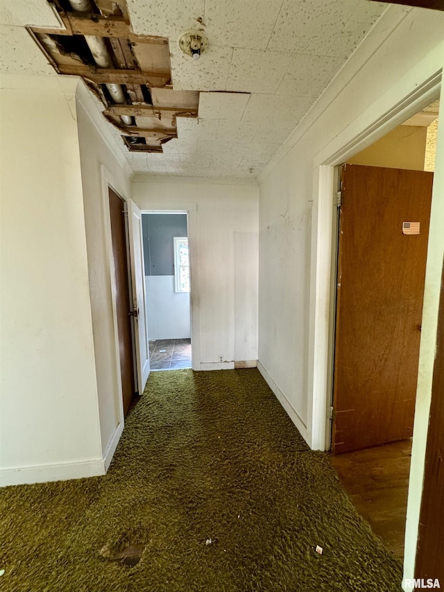 1003 E Main St, West Frankfort, IL 62896 - photo 13