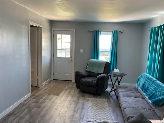 living room featuring hardwood / wood-style flooring