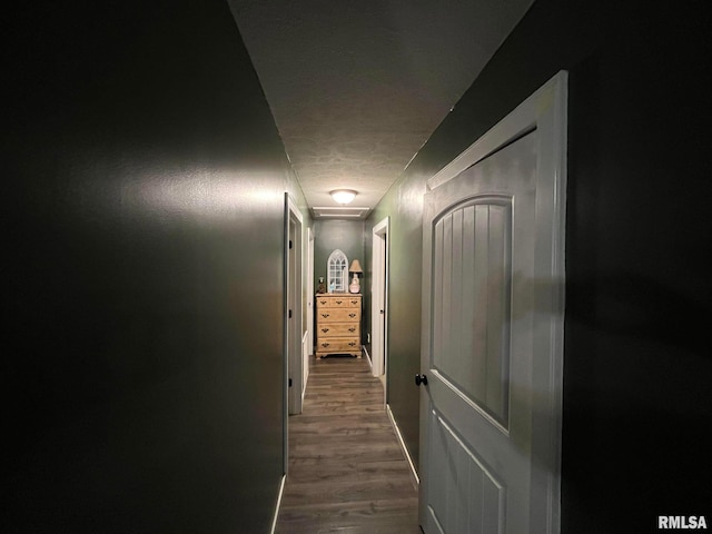 hallway featuring hardwood / wood-style flooring