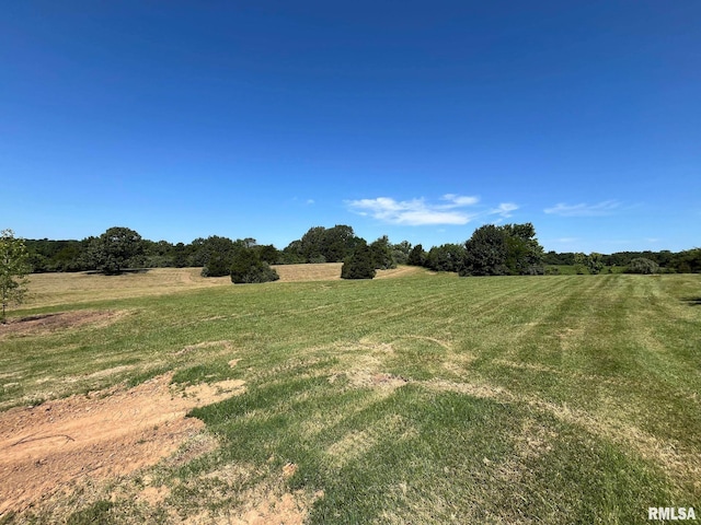 view of yard featuring a rural view