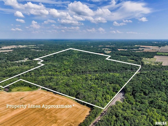 000 E Beal, Dix IL, 62830 land for sale