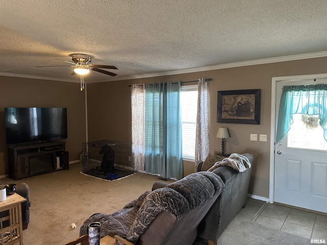 living room with ceiling fan, ornamental molding, and a textured ceiling