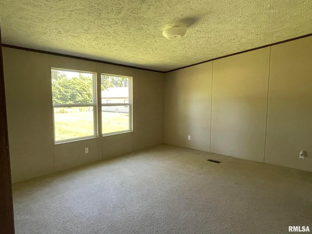 empty room with carpet flooring and a textured ceiling