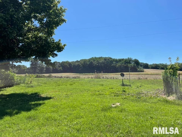 view of yard with a rural view