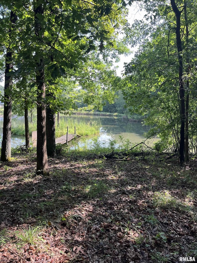 view of yard with a water view