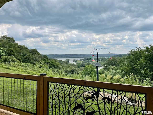 20 Xanders Ln, Golconda, IL 62938 - photo 4