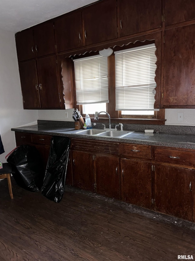 kitchen featuring sink, dark hardwood / wood-style flooring, and dark brown cabinetry