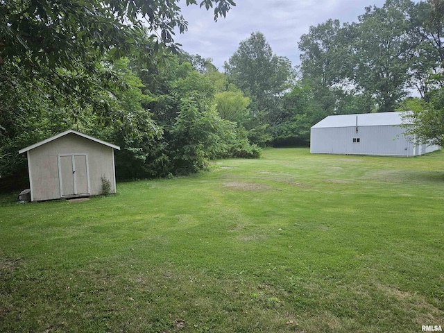 view of yard with a storage unit