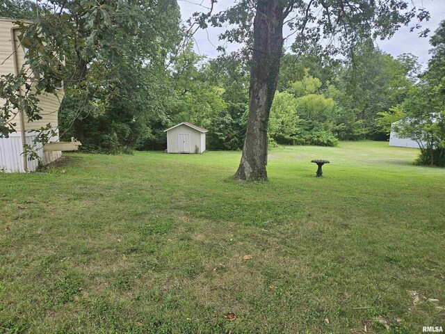 view of yard featuring a storage shed