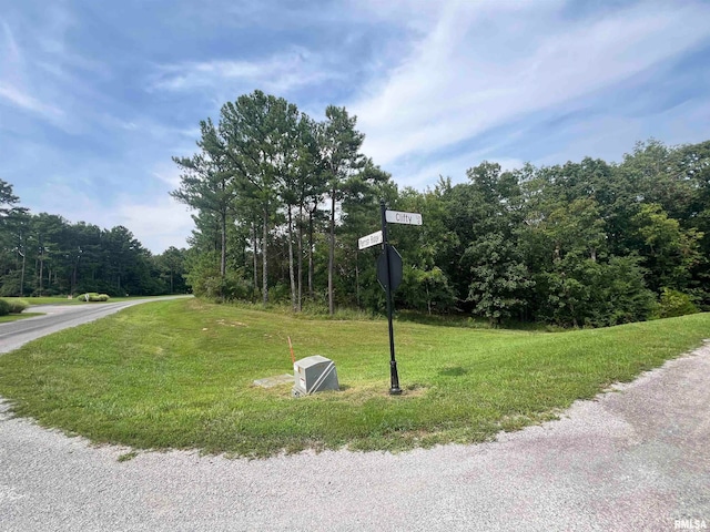 Listing photo 2 for LOT333 Clifty Ln, Goreville IL 62939