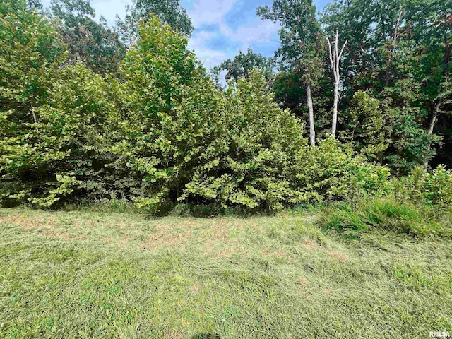 Listing photo 3 for LOT333 Clifty Ln, Goreville IL 62939