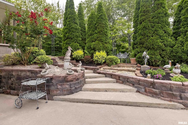 view of yard featuring a patio