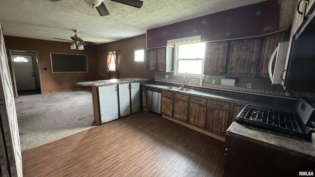 kitchen with sink, dark brown cabinets, a textured ceiling, appliances with stainless steel finishes, and dark carpet