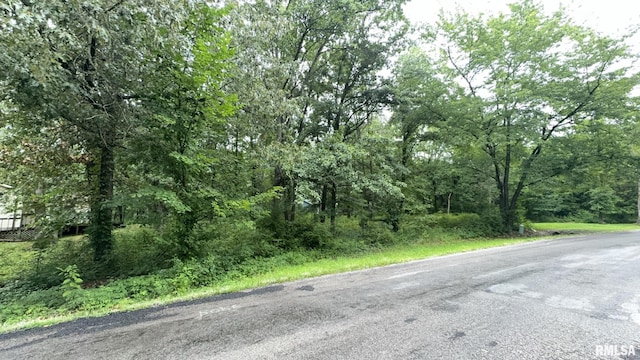 000 White Birch Ct, Benton IL, 62812 land for sale