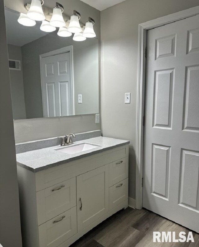 bathroom with vanity and wood-type flooring