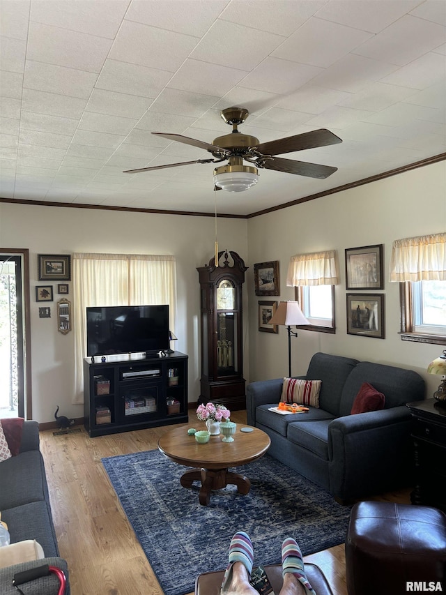 living room with crown molding, ceiling fan, and light hardwood / wood-style flooring