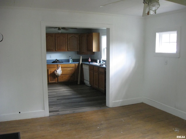 kitchen with dishwasher, wood-type flooring, and ceiling fan