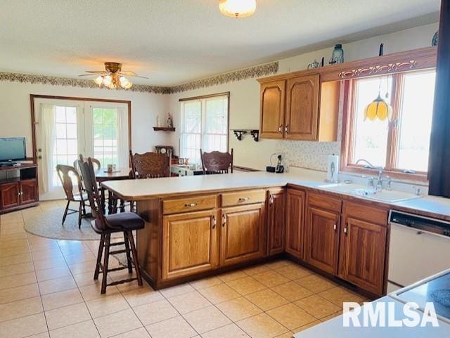 kitchen with plenty of natural light, dishwasher, and ceiling fan